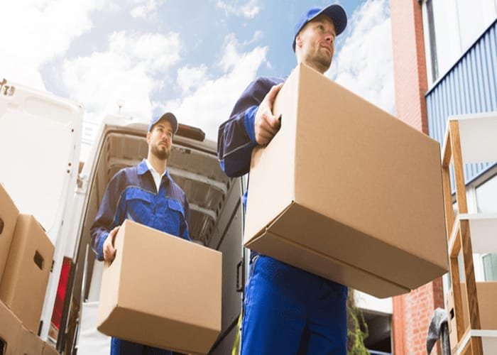 Mover and Packers Service