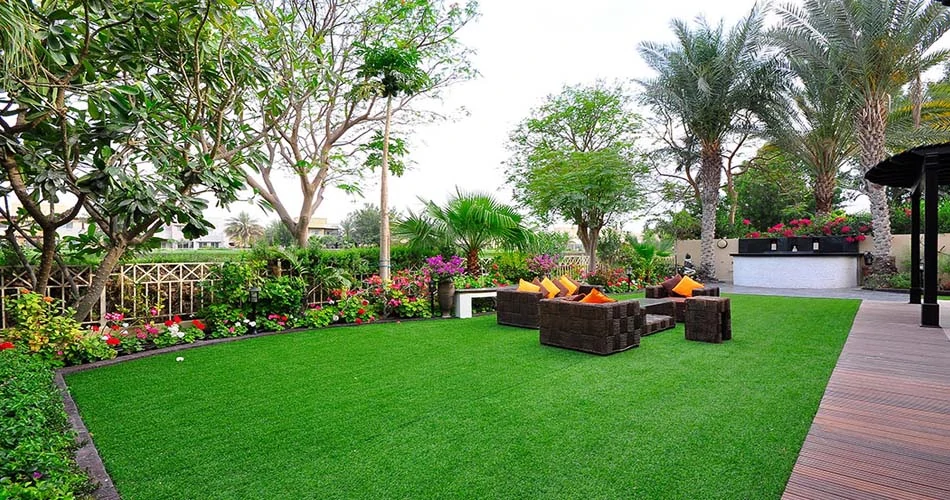 Garden Renovation